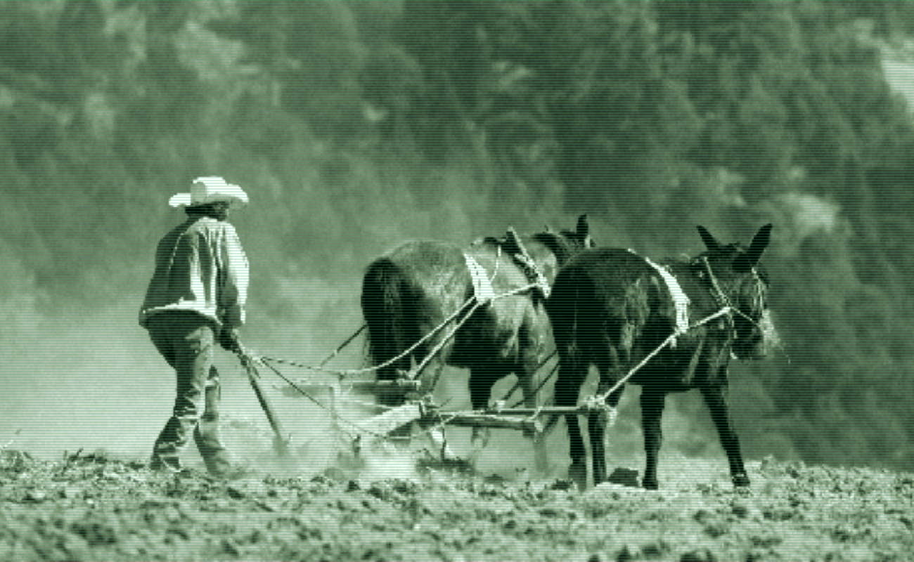 Se han sentado las bases de nueva política para el campo, afirma López Obrador.