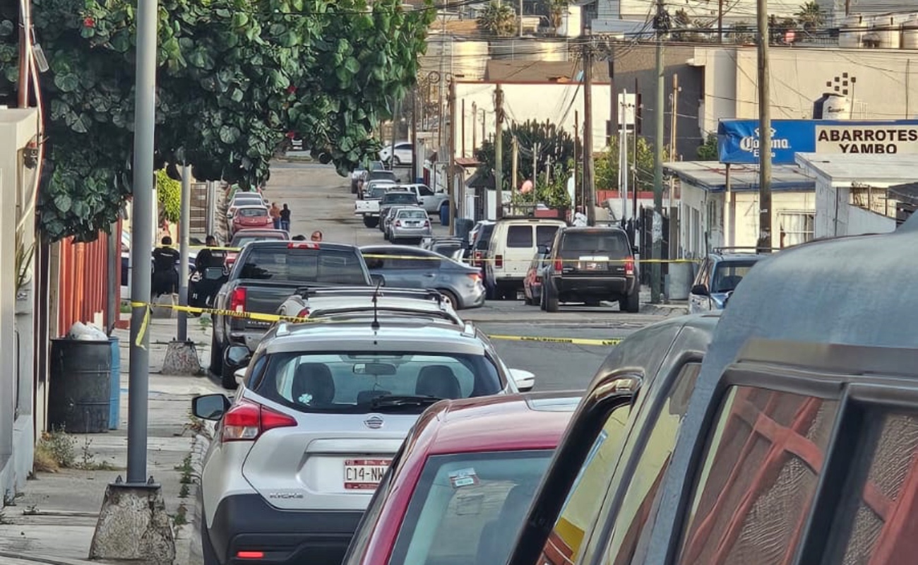Clavan un gato a un poste en el fraccionamiento California de Ensenada