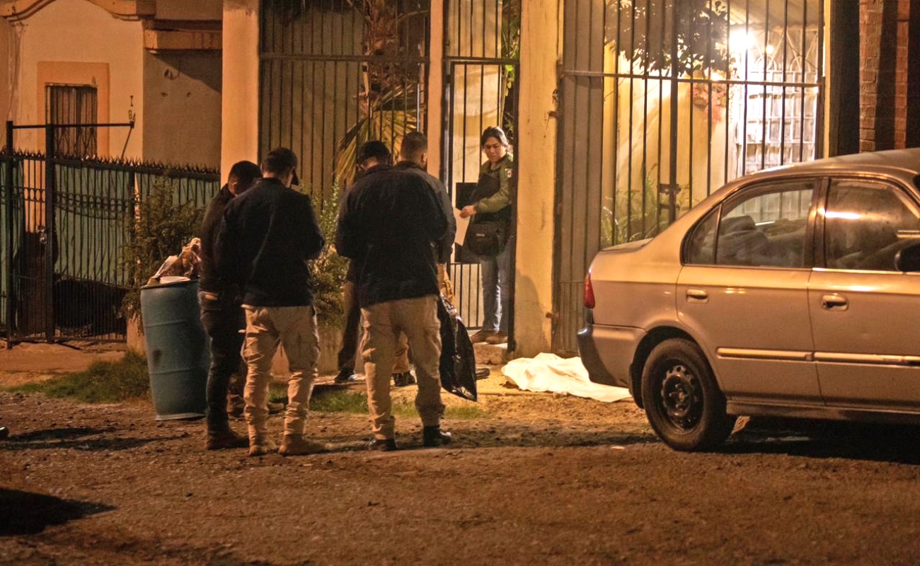 Rescatan a siete perros tras cateo en vivienda; uno fue localizado sin vida