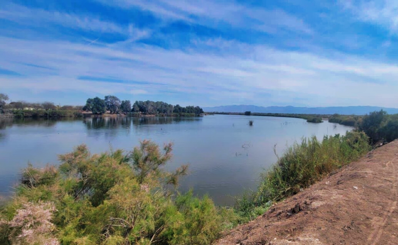De basurero a área protegida: el Sistema Lagunar de Mexicali avanza a ANP.