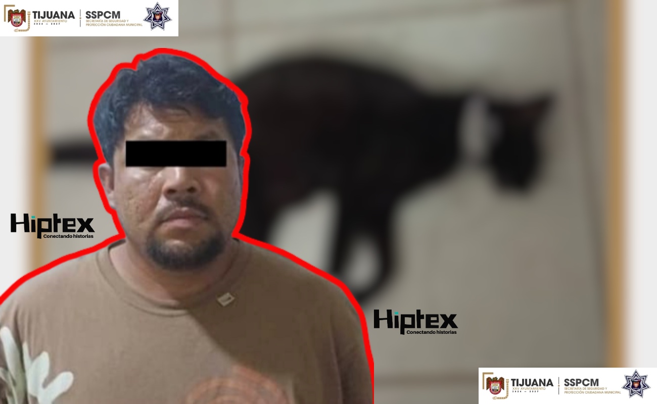 Detienen a sujeto acusado de matar una gata en la colonia Insurgentes
