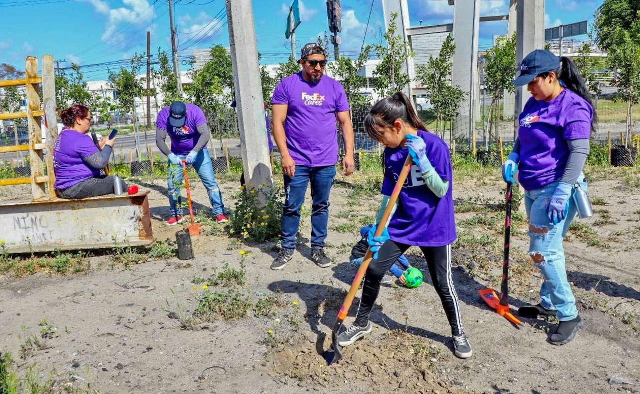 Conecta Nación Verde a empresas con la restauración ecológica