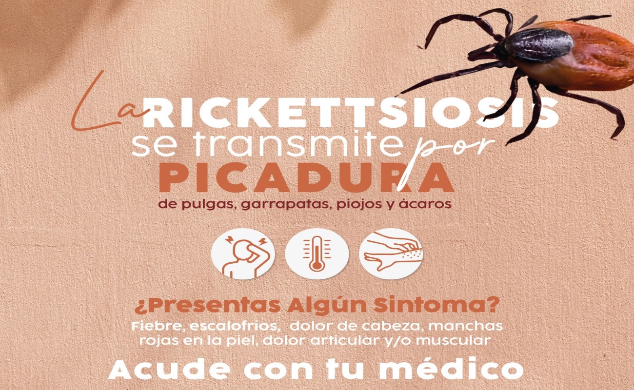 Lamenta Gobierno de Ensenada fallecimiento de menor y refuerza acciones preventivas contra rickettsiosis