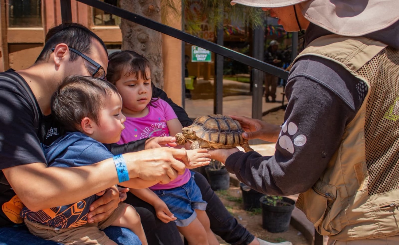 Red Viva cumple un año con impacto en educación, inclusión y conservación; formaliza alianza con el Cabildo de Ensenada