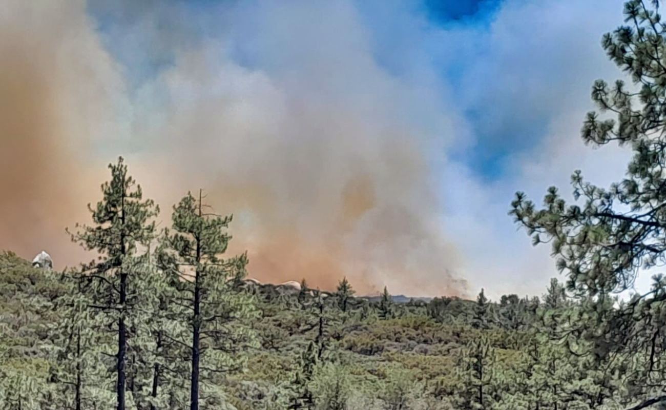Refuerza Bomberos de Ensenada combate de incendio forestal en Sierra de Juárez