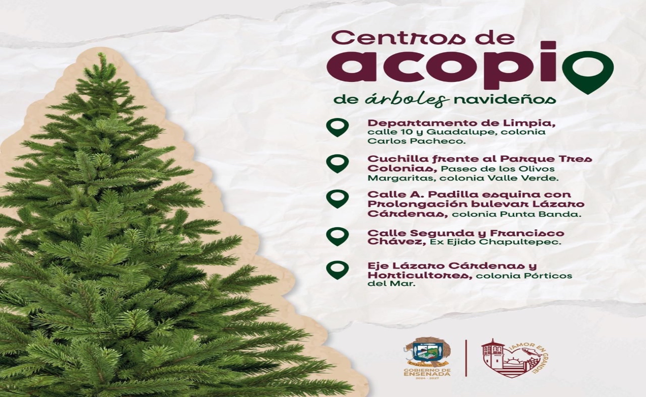 Habilitan en Ensenada centros de acopio de árboles navideños