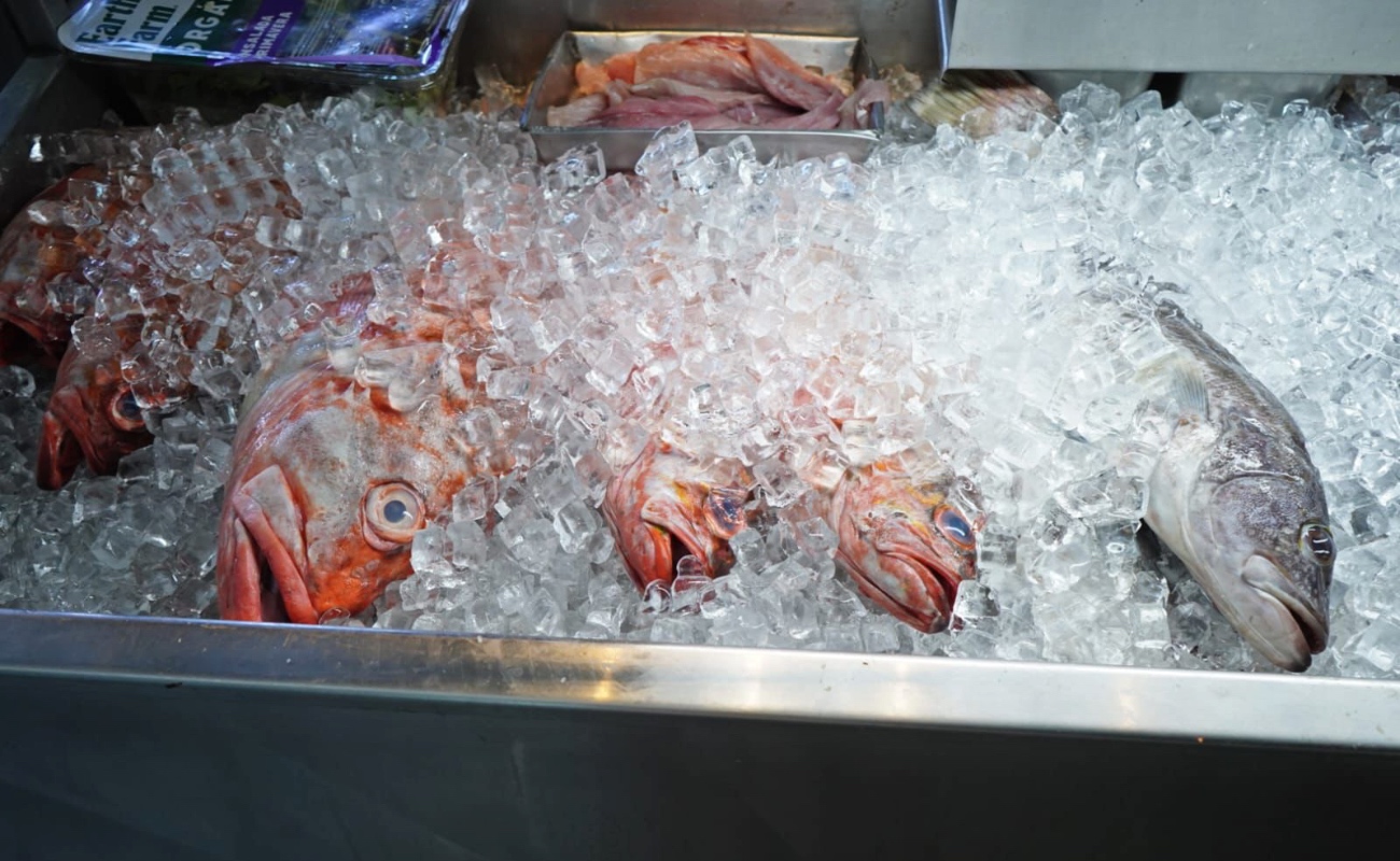 Emiten recomendaciones de salud para el consumo seguro de pescados y mariscos en semana santa