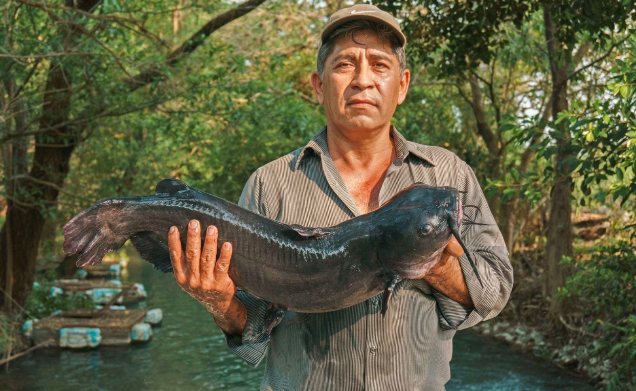 En abril inician periodos de veda y captura en 15 estados de la República