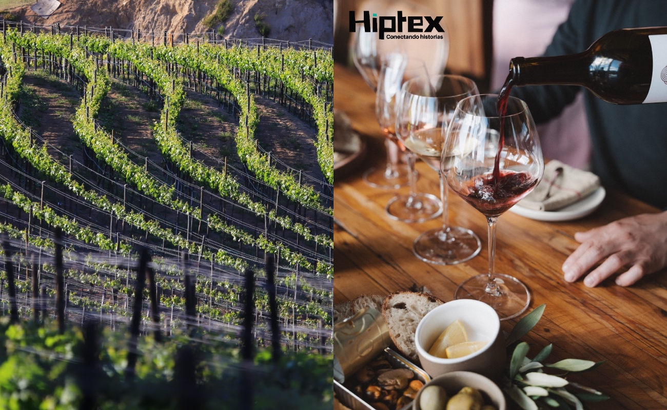 Su oferta enogastronómica, hospitalidad y la combinación de tradición e innovación consolidan su proyección internacional.