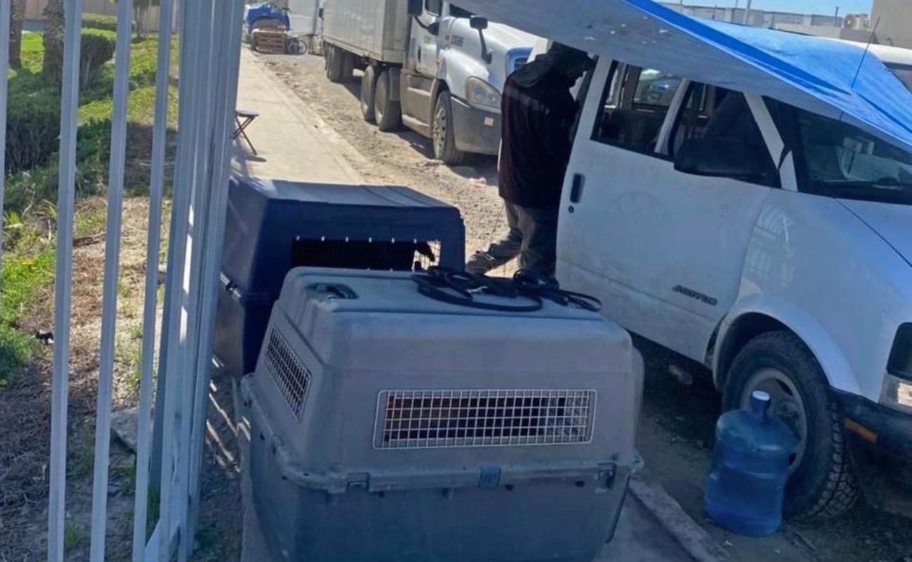 Clausuran a tres empresas de seguridad privada por no contar con permisos