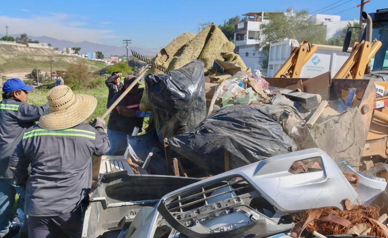 Recolectan 12 toneladas de basura pesada.