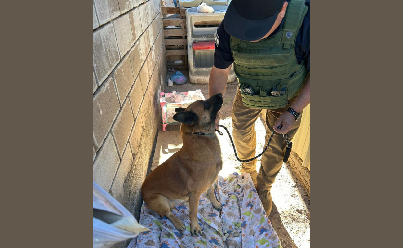 Rescata Fiscalía Regional de Mexicali a canino tras denuncia por crueldad animal