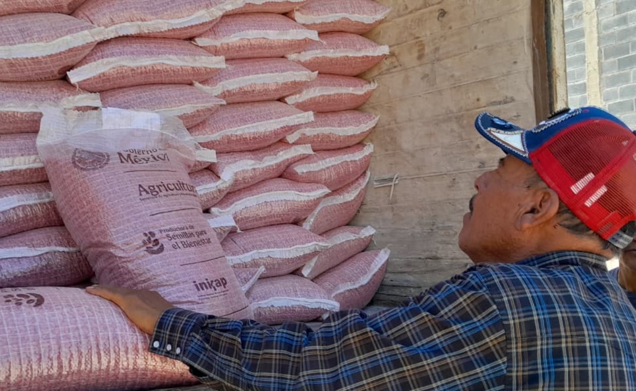 Los beneficiarios podrán participar en el Programa de Acopio de Alimentación para el Bienestar, correspondiente al ciclo agrícola 2026.