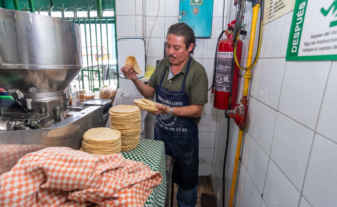 Acuerdo Nacional Maíz-Tortilla suma 186 centros de distribución de grano, para acercar el insumo a las tortillerías adheridas