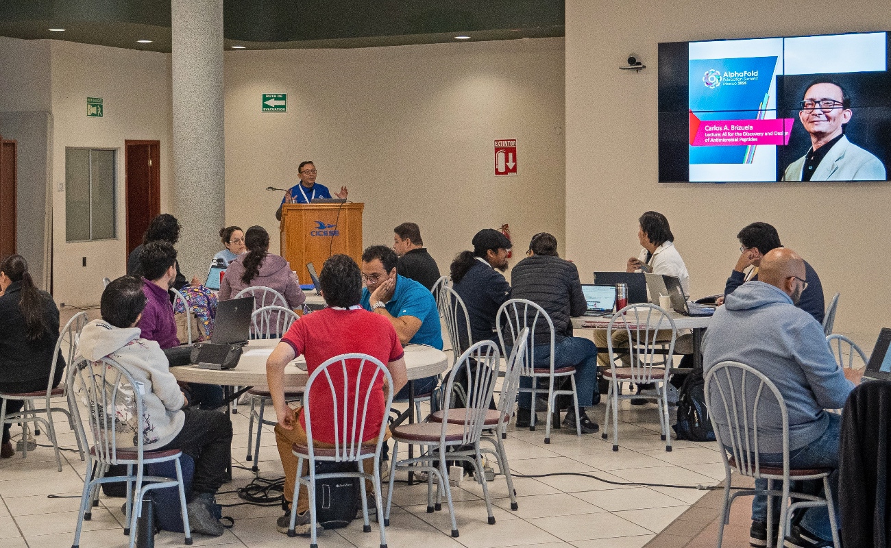CICESE organizó la Cumbre de Educación AlphaFold México 2025, reuniendo a estudiantes e investigadores para capacitarse en el uso de AlphaFold, un programa de IA para predecir estructuras proteicas.