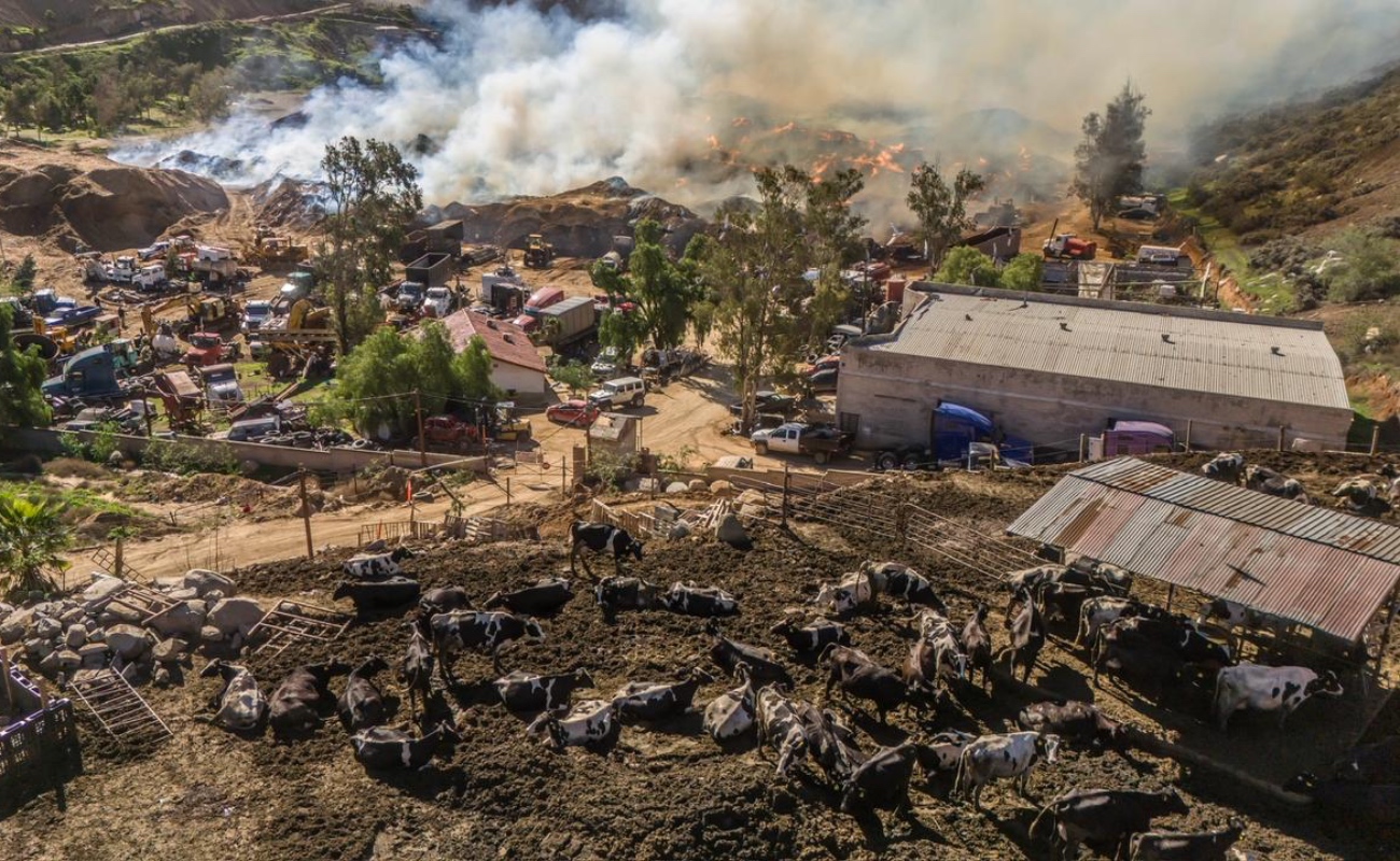 Tras más de 18 horas de labores ininterrumpidas, el incendio registrado en una procesadora de aserrín en Tijuana continúa activo.