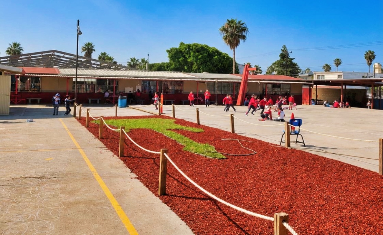 Proyecto integró vegetación nativa e infraestructura verde para transformar espacios escolares en entornos más resilientes.