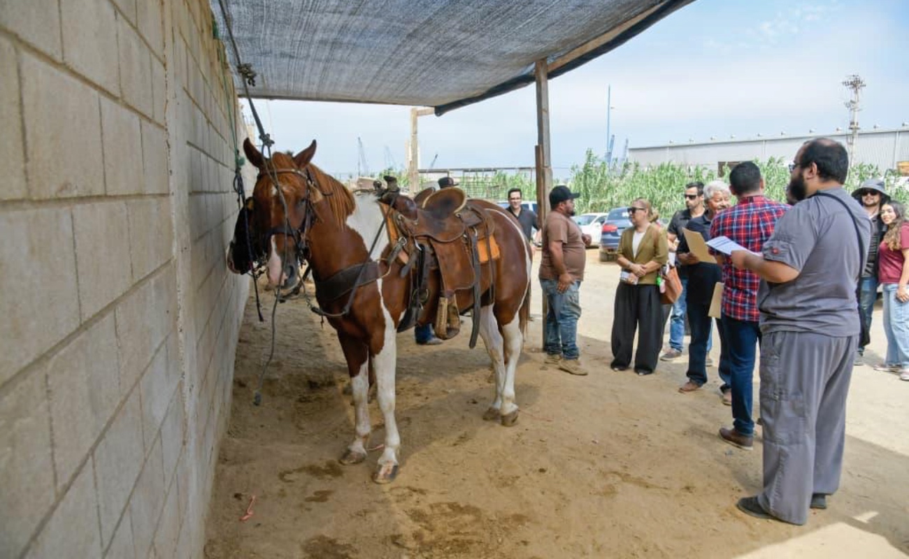 Supervisan autoridades establo en Bulevar Costero