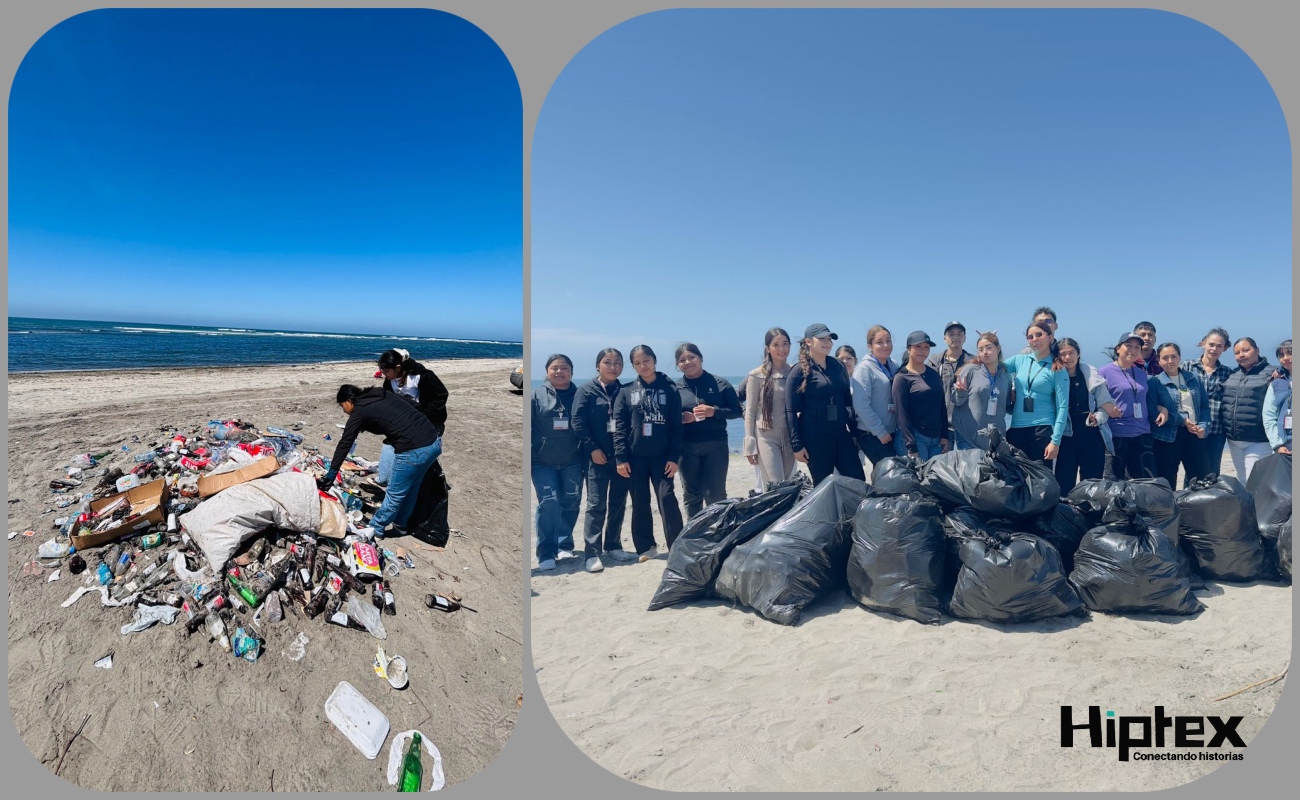 ZOFEMAT y alumnos de la UIBC limpian playa de San Ramón en Vicente Guerrero