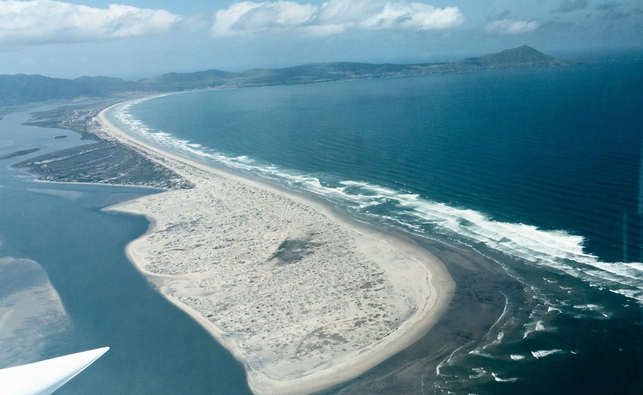Designan Bahía de Todos Santos reserva de aves playeras