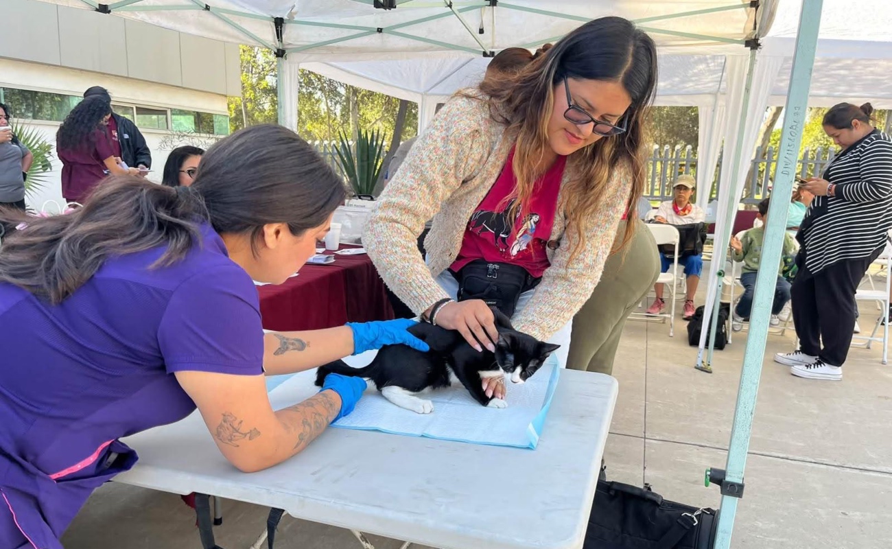 Acerca Gobierno Municipal servicios veterinarios gratuitos a la delegación Otay Centenario