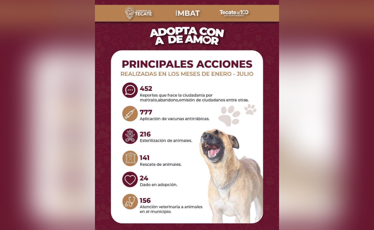 IMBAT fortalece el bienestar animal en Tecate con más de 1,700 acciones durante 2026