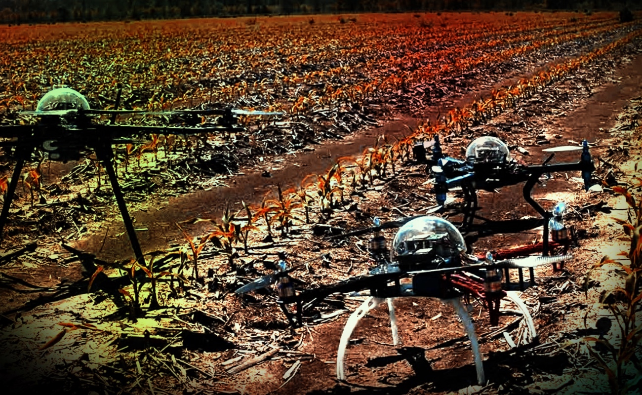 La meta es restaurar 100 mil has de tierra agrícola al año 2021 y un millón para el 2030