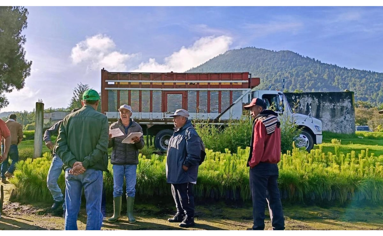 Fortalece Nación Verde empleos verdes en comunidades ejidales