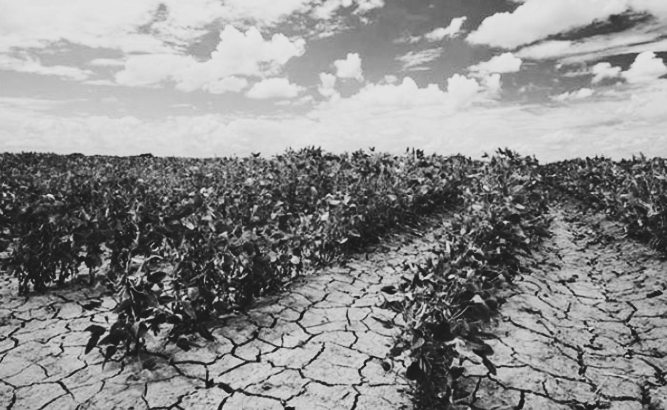 Buscan en BC mejores condiciones para agricultores ante retos climáticos