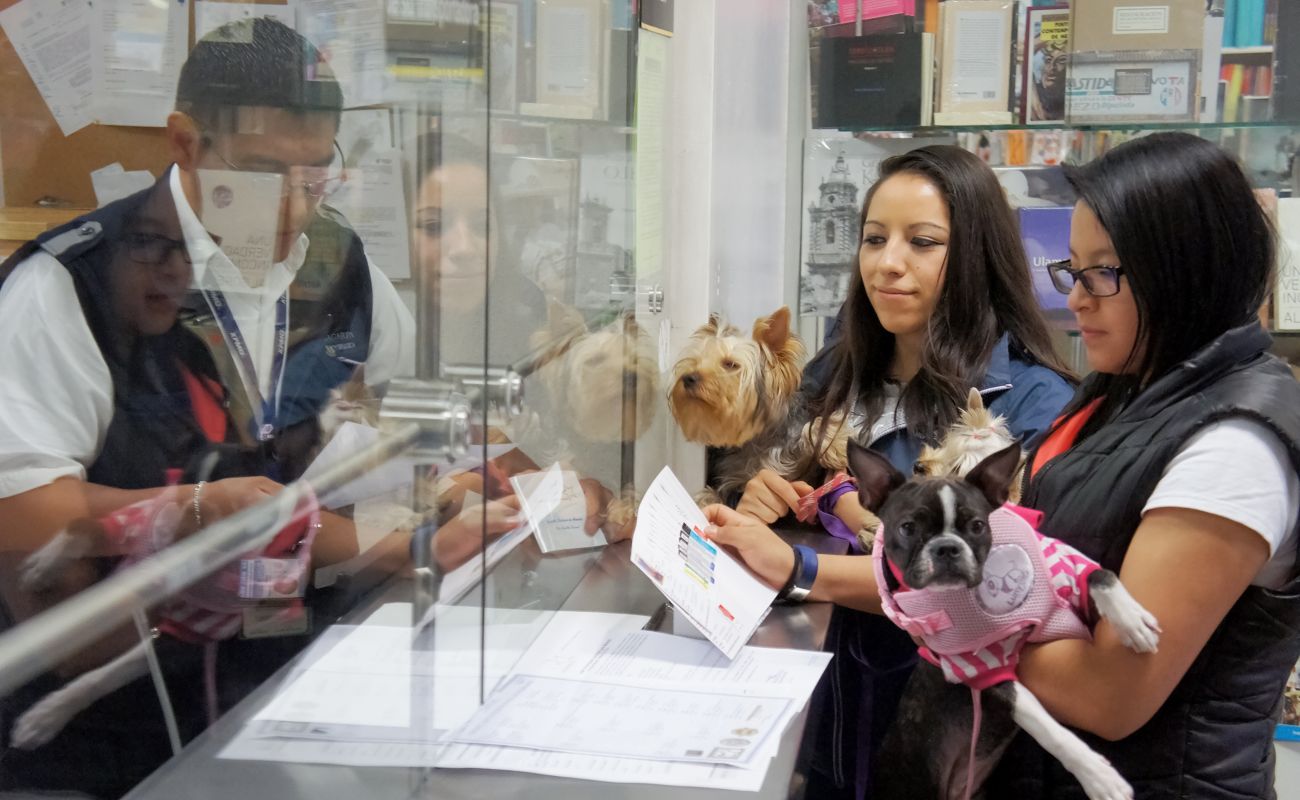 Establece México requisito de inspección sanitaria para GBG en perros y aves provenientes de EUA