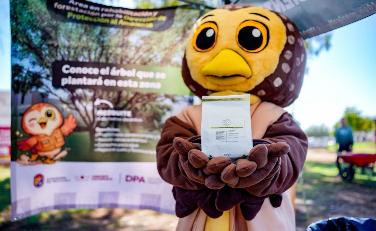 En esta etapa se plantaron alrededor de 215 especies nativas en la glorieta Centro Cívico y la Avenida de los Héroes.