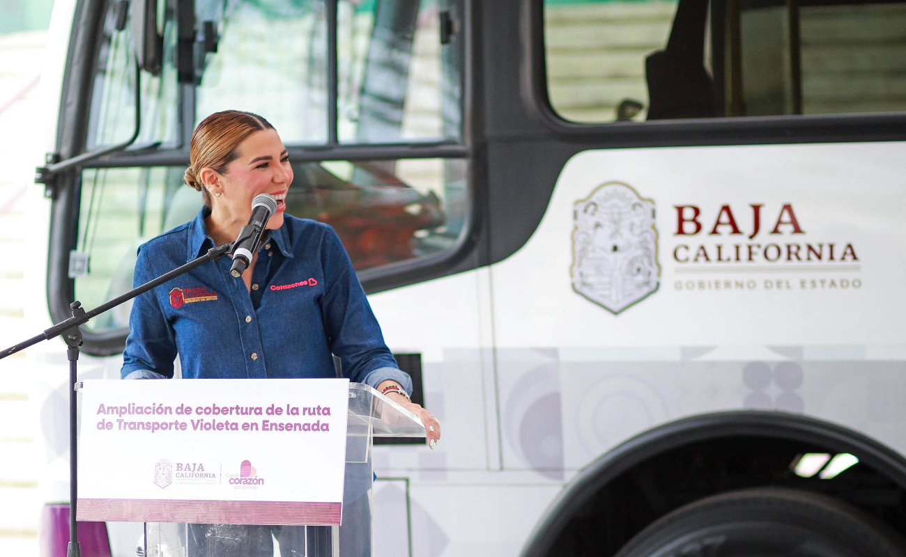 Supera Transporte Violeta los 10 millones de traslados: Marina del Pilar