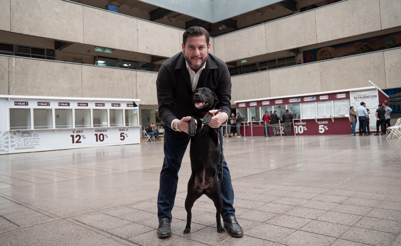 En Palacio Municipal de Tijuana, los animales dejan de ser considerados como propiedad y se reconoce su papel como parte del entorno familiar.
