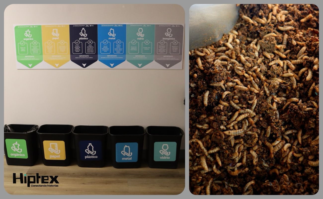 Programa Basura Cero del CICESE logra valorizar más de 3 toneladas de residuos