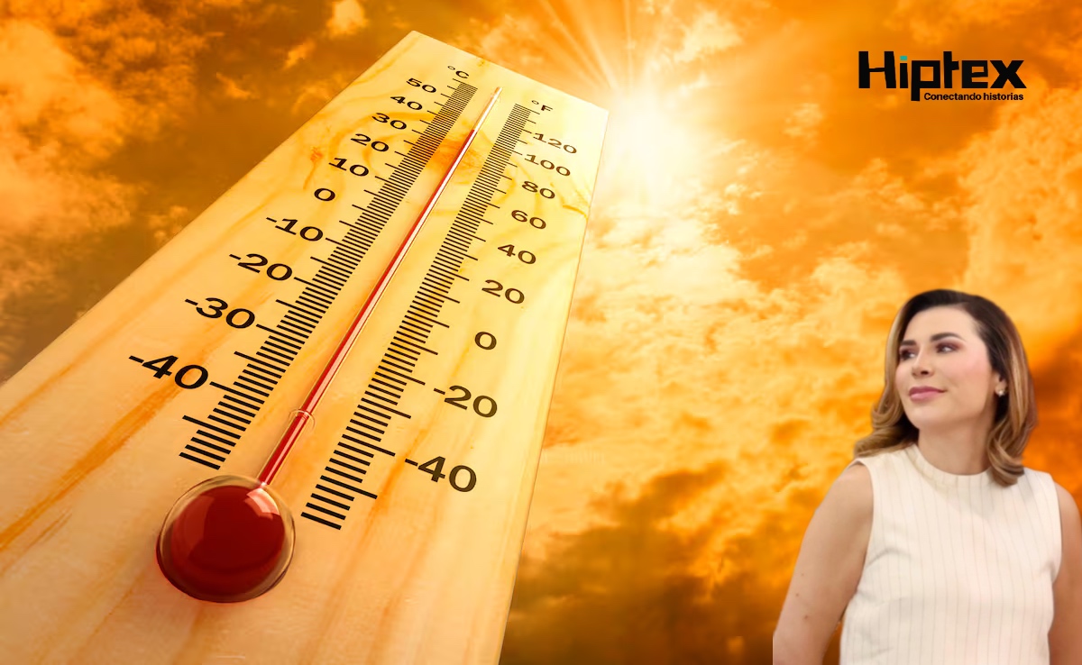 Previo a la temporada de Verano, se instala un punto de hidratación masivo que estará operando las 24 horas del día.