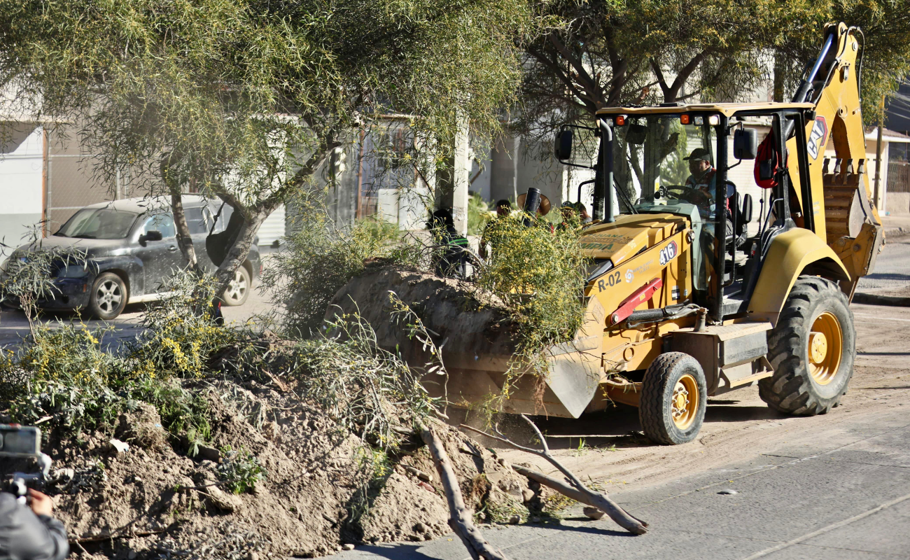 Recolecta Gobierno Municipal más de 26 toneladas de basura en colonias de Tijuana