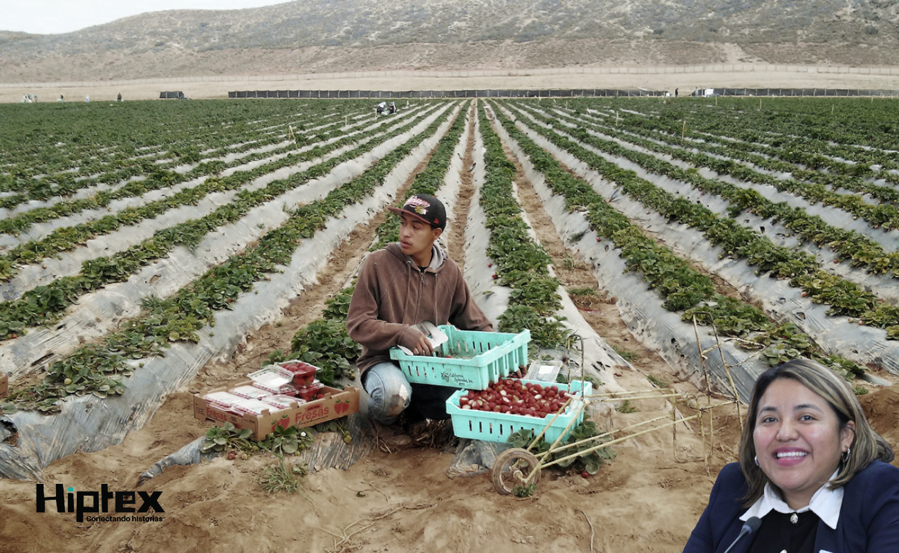 La diputada Evelyn Sánchez plantea saldar la deuda histórica con comunidades jornaleras e indígenas del municipio.