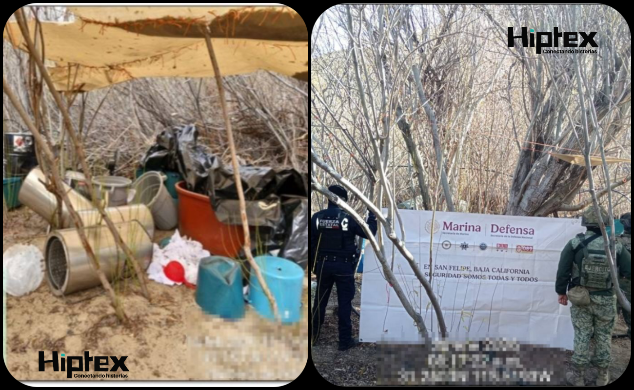 Concluye inhabilitación de narcolaboratorio en Ensenada