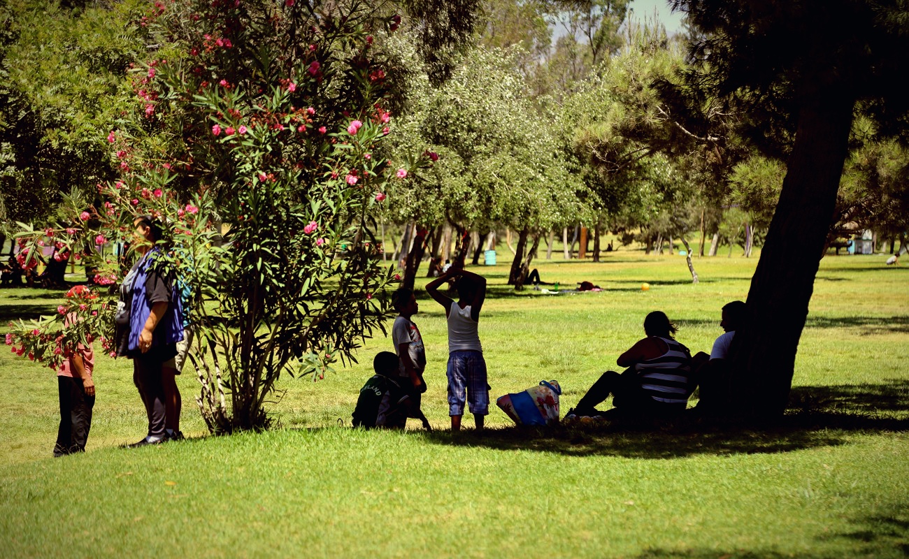 Clima agradable para los próximos días de asueto por Semana Santa se prevé en Baja California.