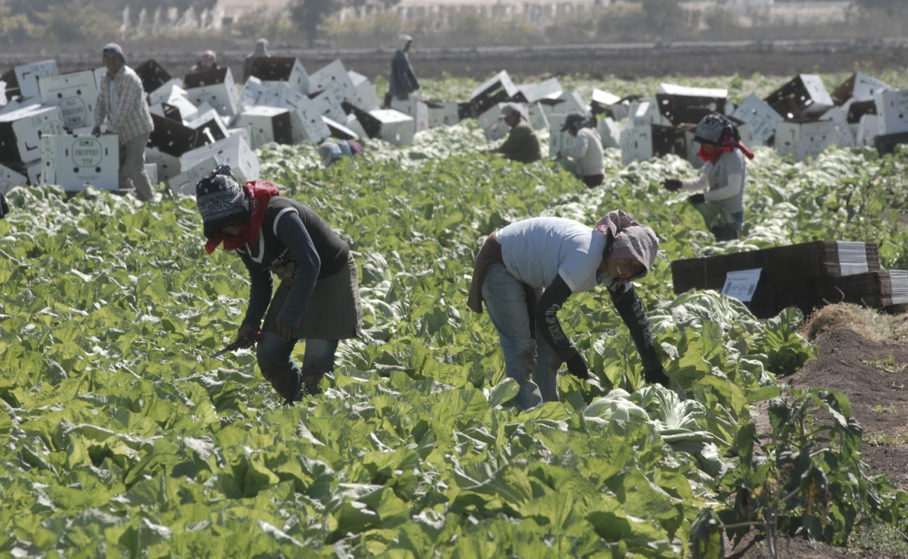 Un acuerdo para proteger la movilidad de los jornaleros agrícolas fue firmado este jueves en Tijuana.