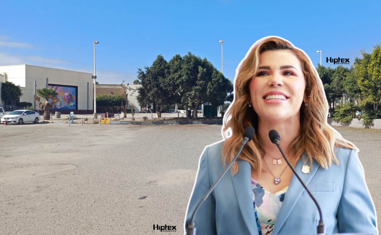 Terrenos para juzgados no significa abandonar proyecto del Cearte: Marina del Pilar