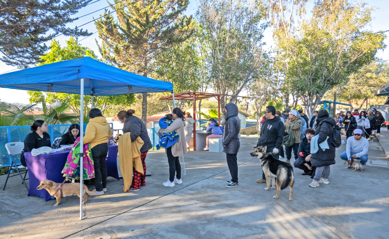 Decenas de familias acudieron con sus mascotas para acceder a este servicio sin costo.