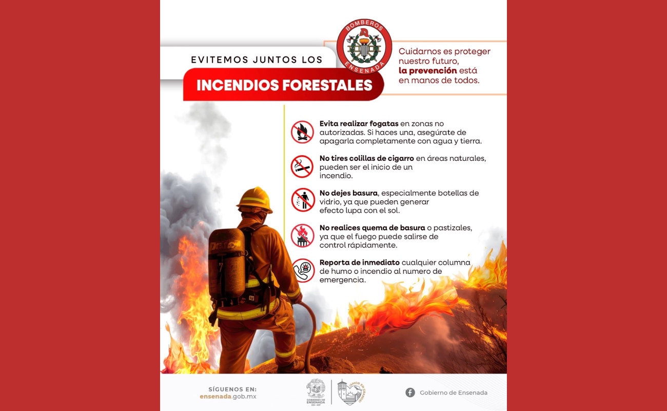 Combate Bomberos de Ensenada incendio forestal en San José de la Zorra