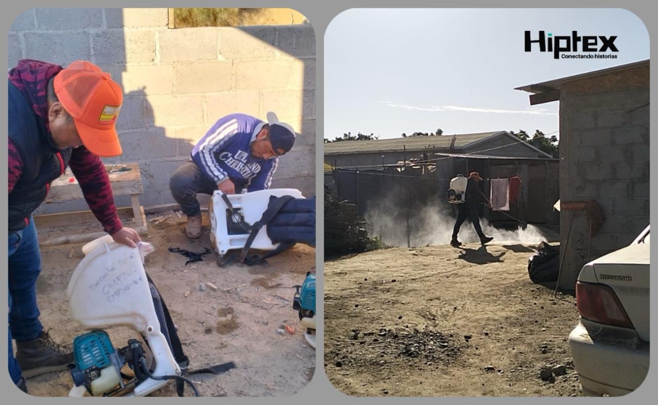 Se realizó una jornada de fumigación contra la Rickettsiosis en la colonia López, San Quintín, beneficiando a 680 habitantes.