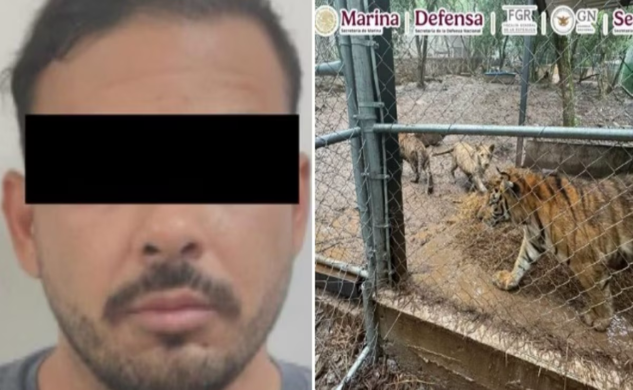Capturan a José Antonio ‘N’, líder de célula del Cártel del Noroeste, por huachicol; le aseguran 7 tigres