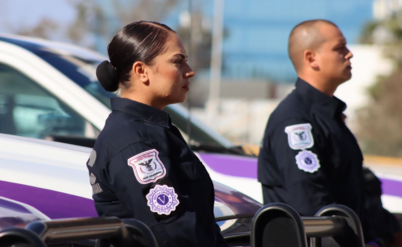 Estrategia Violeta: psicología, prevención y ciencia social