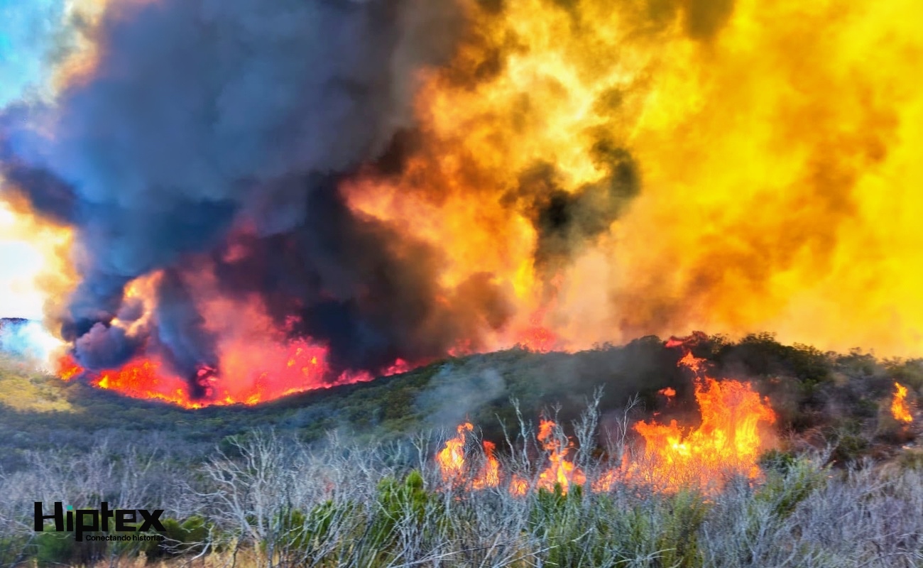 Avanza control de incendio forestal en el Valle de la Trinidad; reporta Bomberos 40% de avance