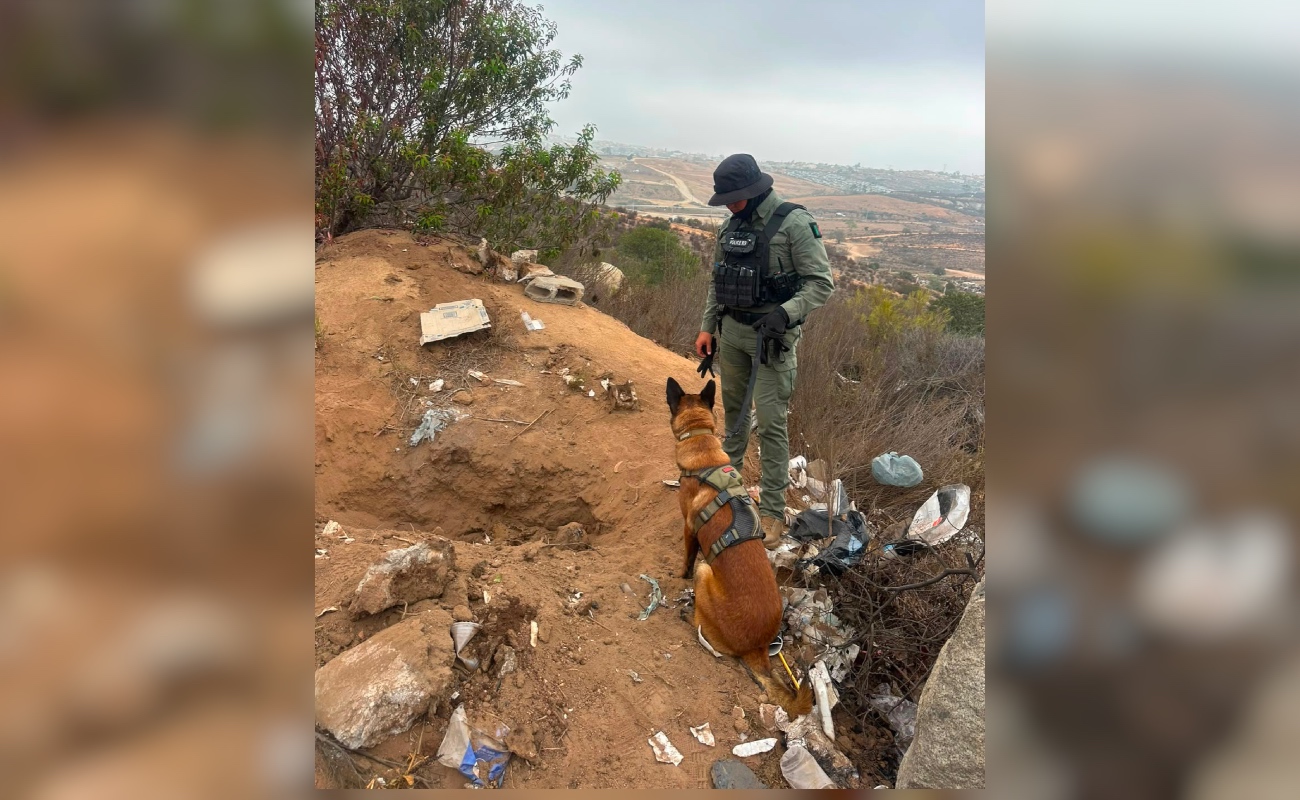 Autoridades desplegaron un operativo tras denuncias anónimas.