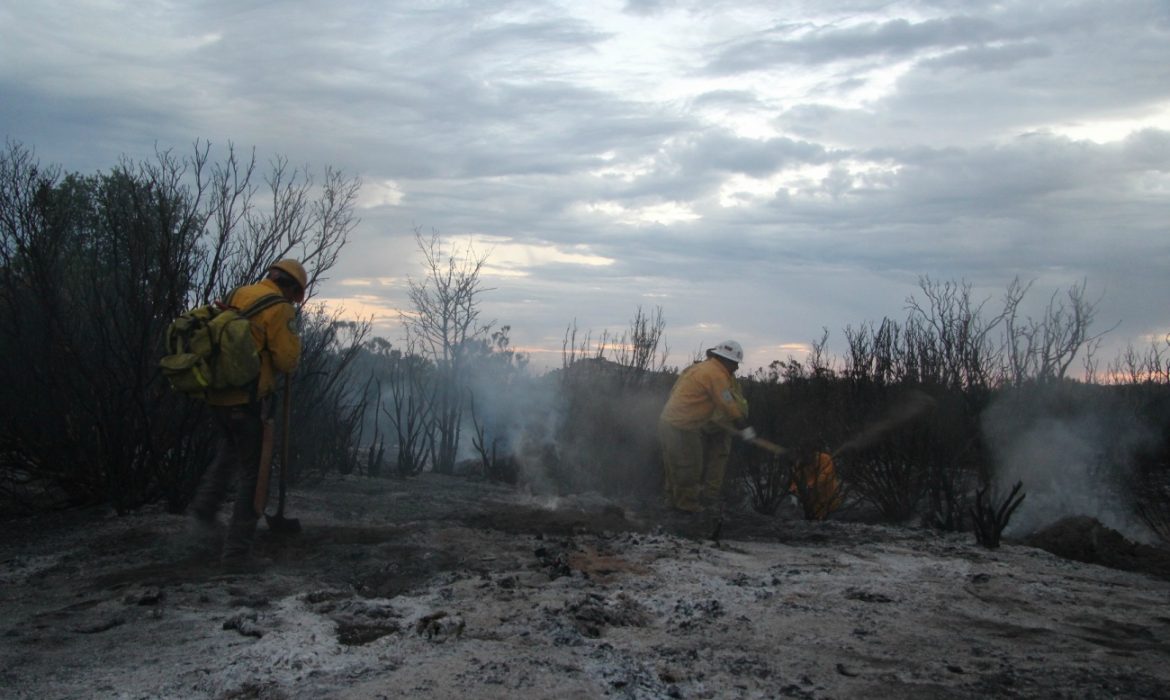 Controlan al 80% incendio en Sierra de Juárez