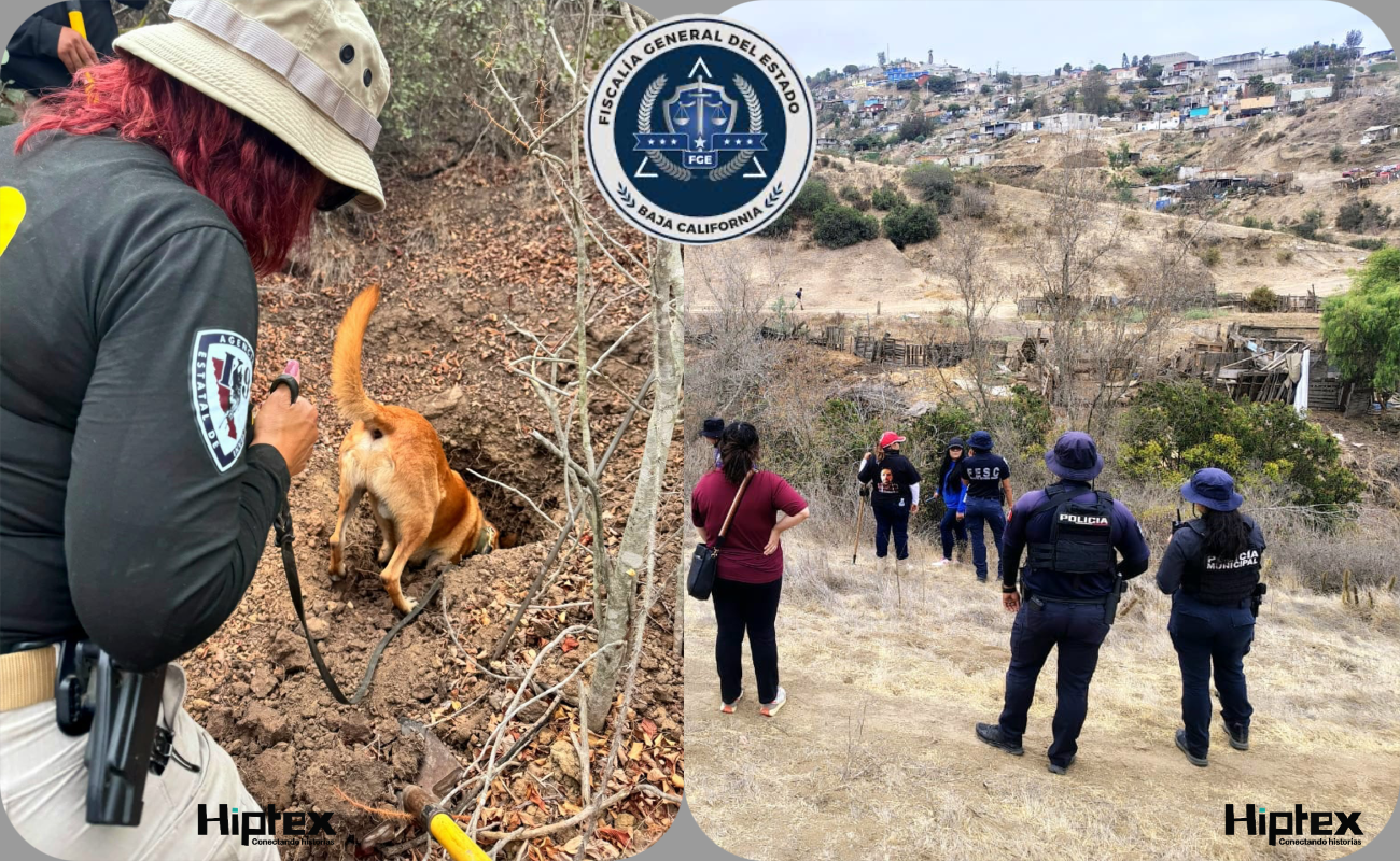 Hallan dos osamentas en operativo de búsqueda en Ensenada